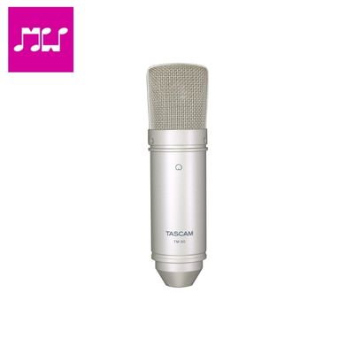 Tascam TM-80 Studio Condenser Microphone