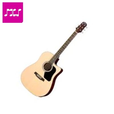 Walden D450CE Dreadnought Cutaway Acoustic Guitar