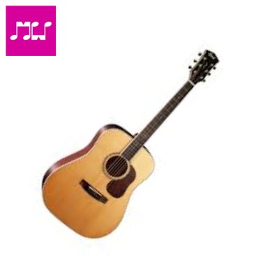 Cort Gold Series D8  Acoustic Guitar