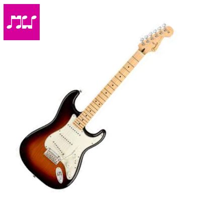 FENDER PLAYER STRATOCASTER