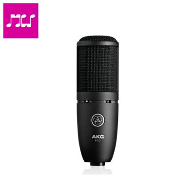 AKG P120 High-Performance  Recording Microphone