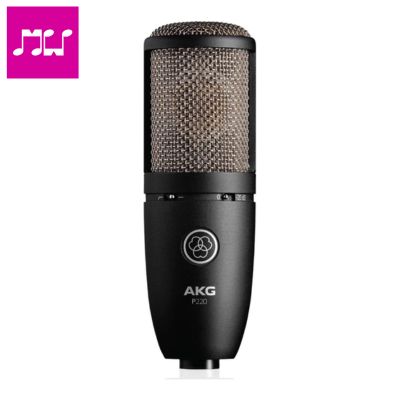 AKG P220 High-performance condenser microphone