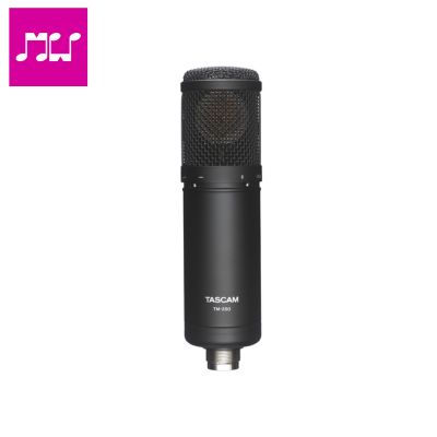 TASCAM TM-280 STUDIO CONDENSER MICROPHONE