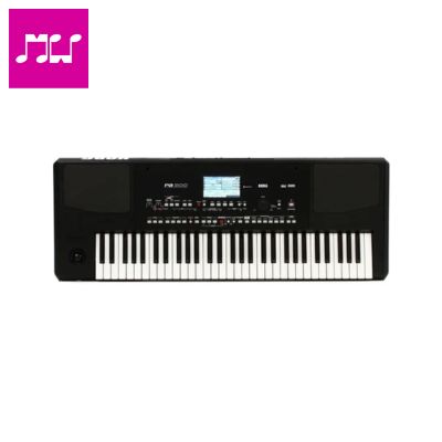  Korg PA-300 Professional Arranger Keyboard, 61 Keys,
